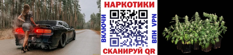 Как найти наркотики Павловский Посад гидра сайт КОКАИН А ПВП Меф МАРИХУАНА