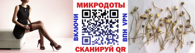Галлюциногенные грибы MAGIC MUSHROOMS  Павловский Посад 